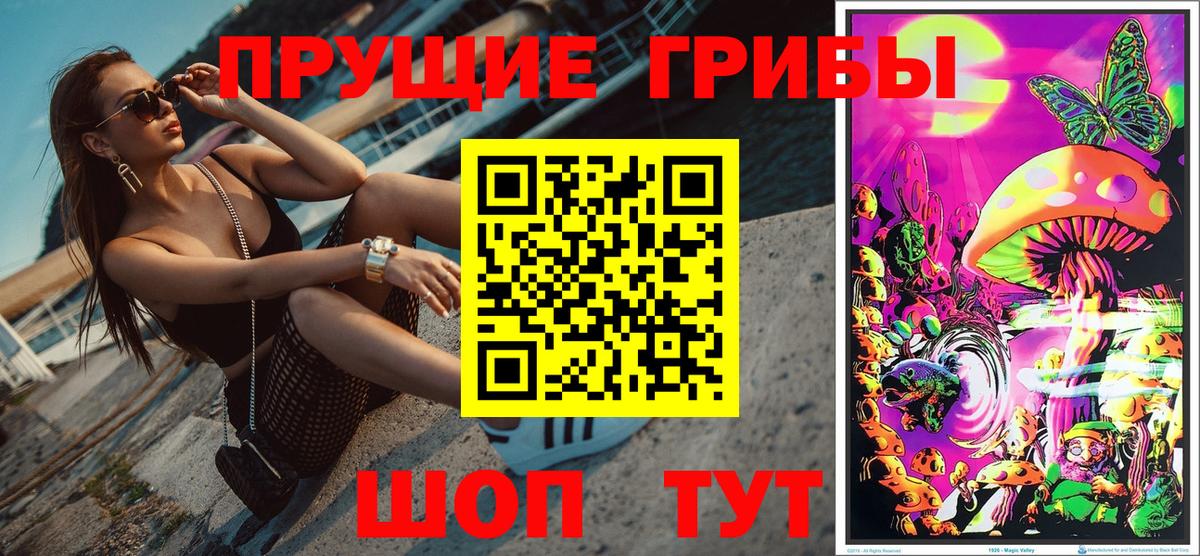 Осинники  Галлюциногенные грибы Psilocybine cubensis  Вход с VPN 